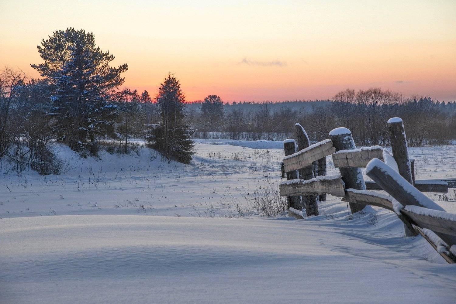 , Михаил Карпов