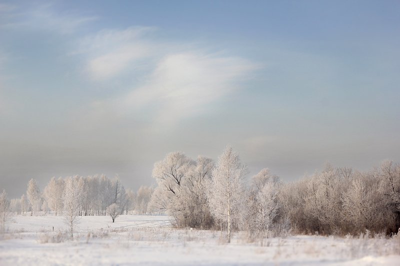 зима фото превью