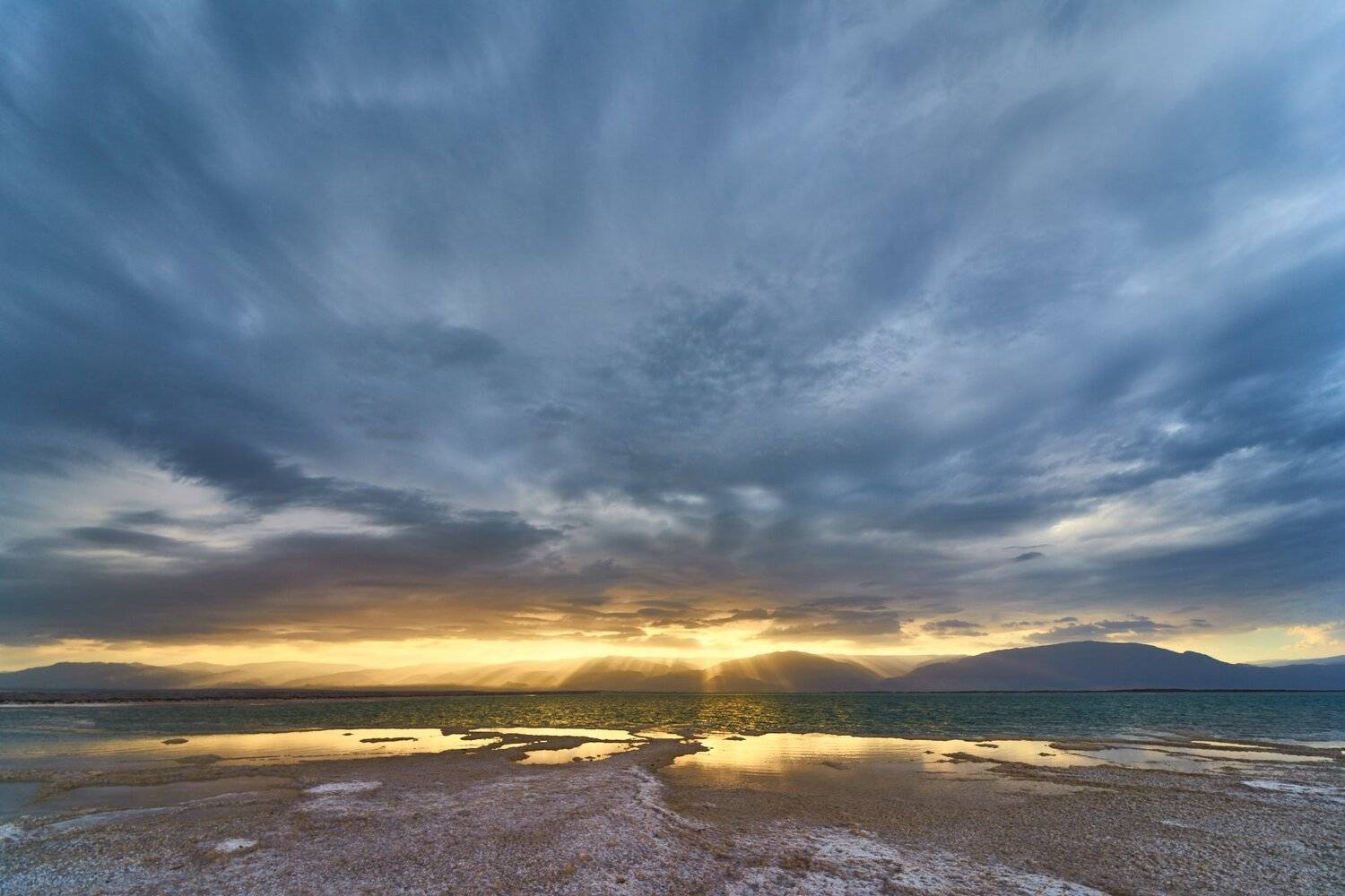 , David Solodar