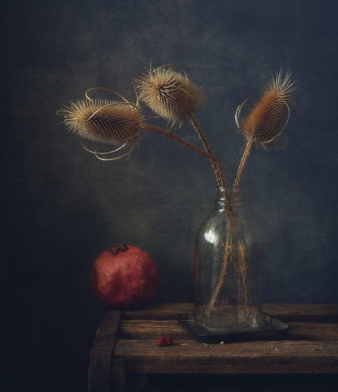 натюрморт,ворсянка,колючки,гранат,сухоцвет,  Наталия К