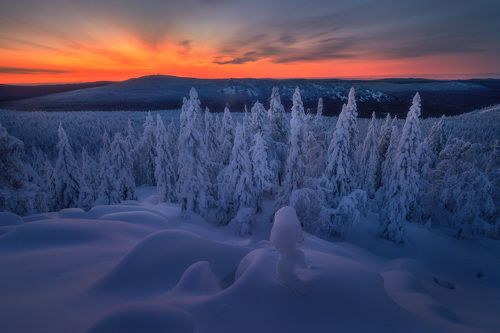 Рассвет на Митькиных