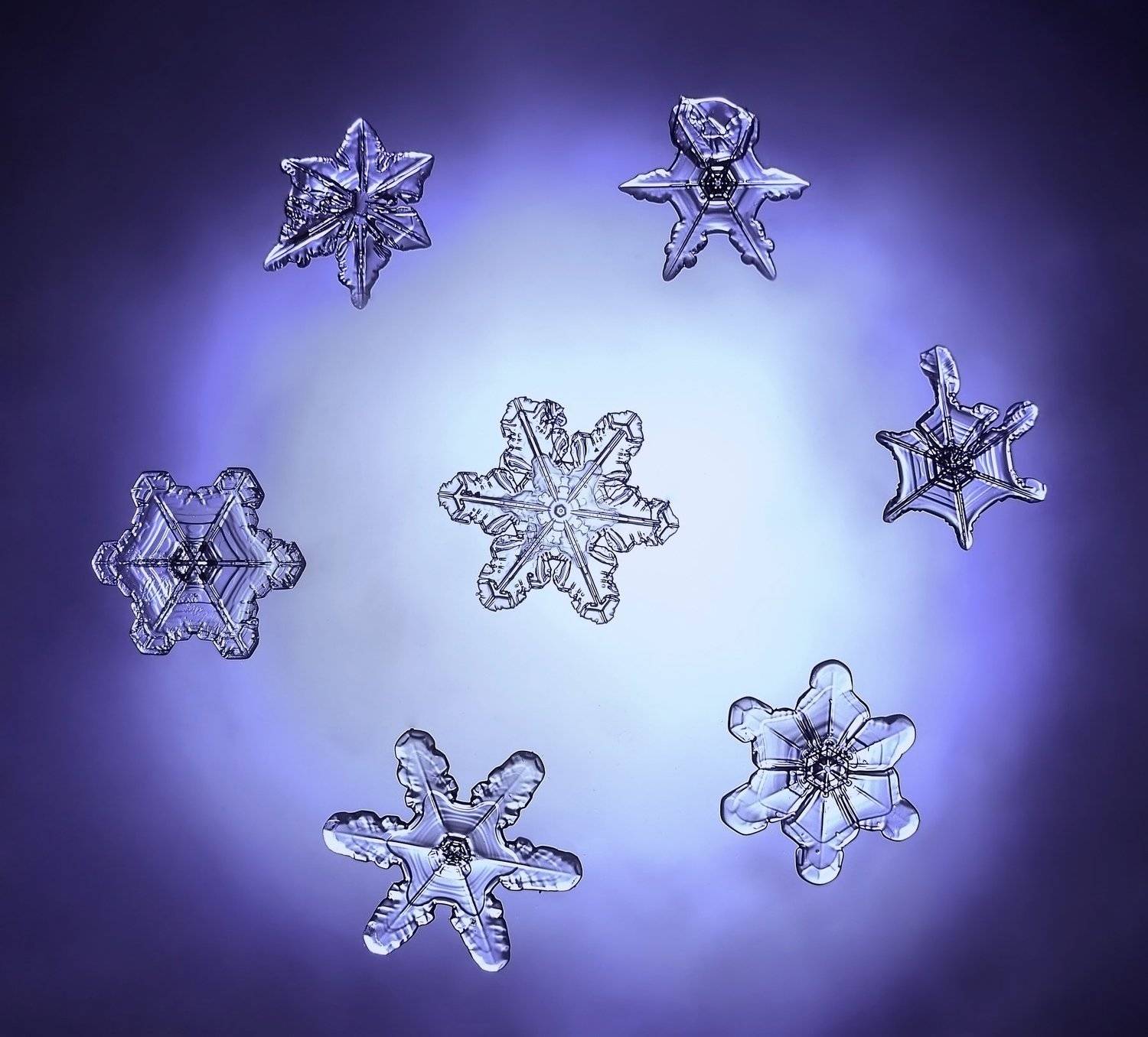 макро, снежинки, макро мир, зима, россия, природа,, Эля Draw