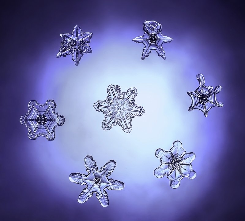 макро, снежинки, макро мир, зима, россия, природа, Зимний хоровод фото превью