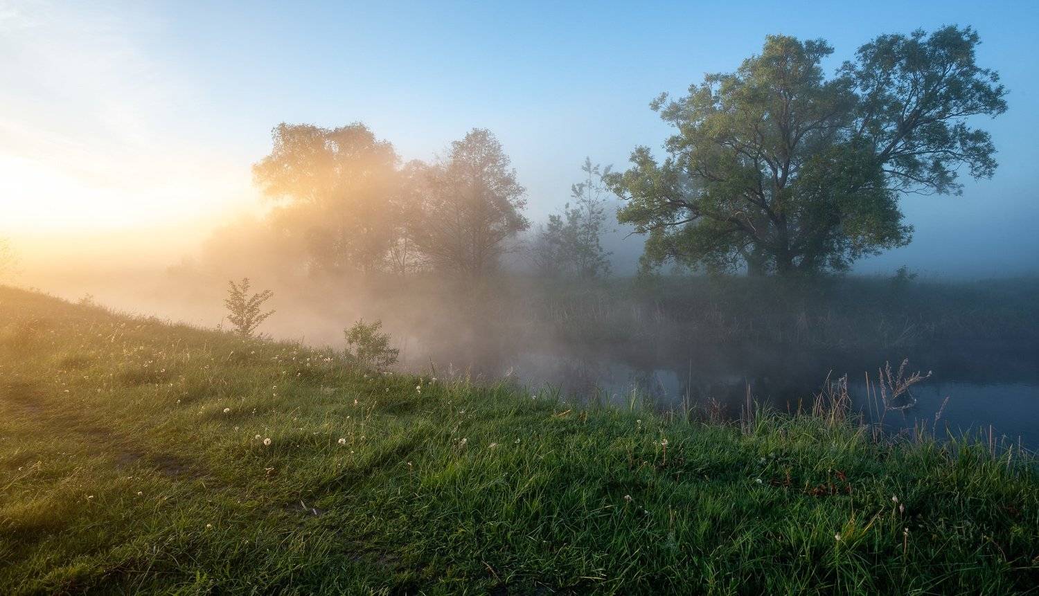 , Александр Бредихин