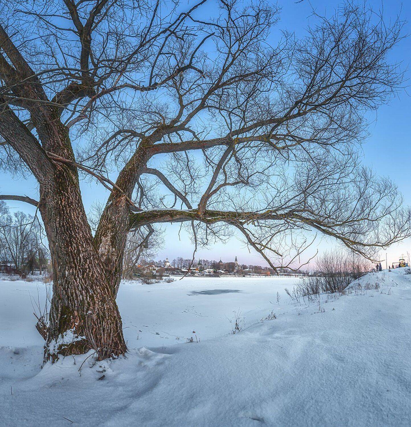 , Николай Андреев
