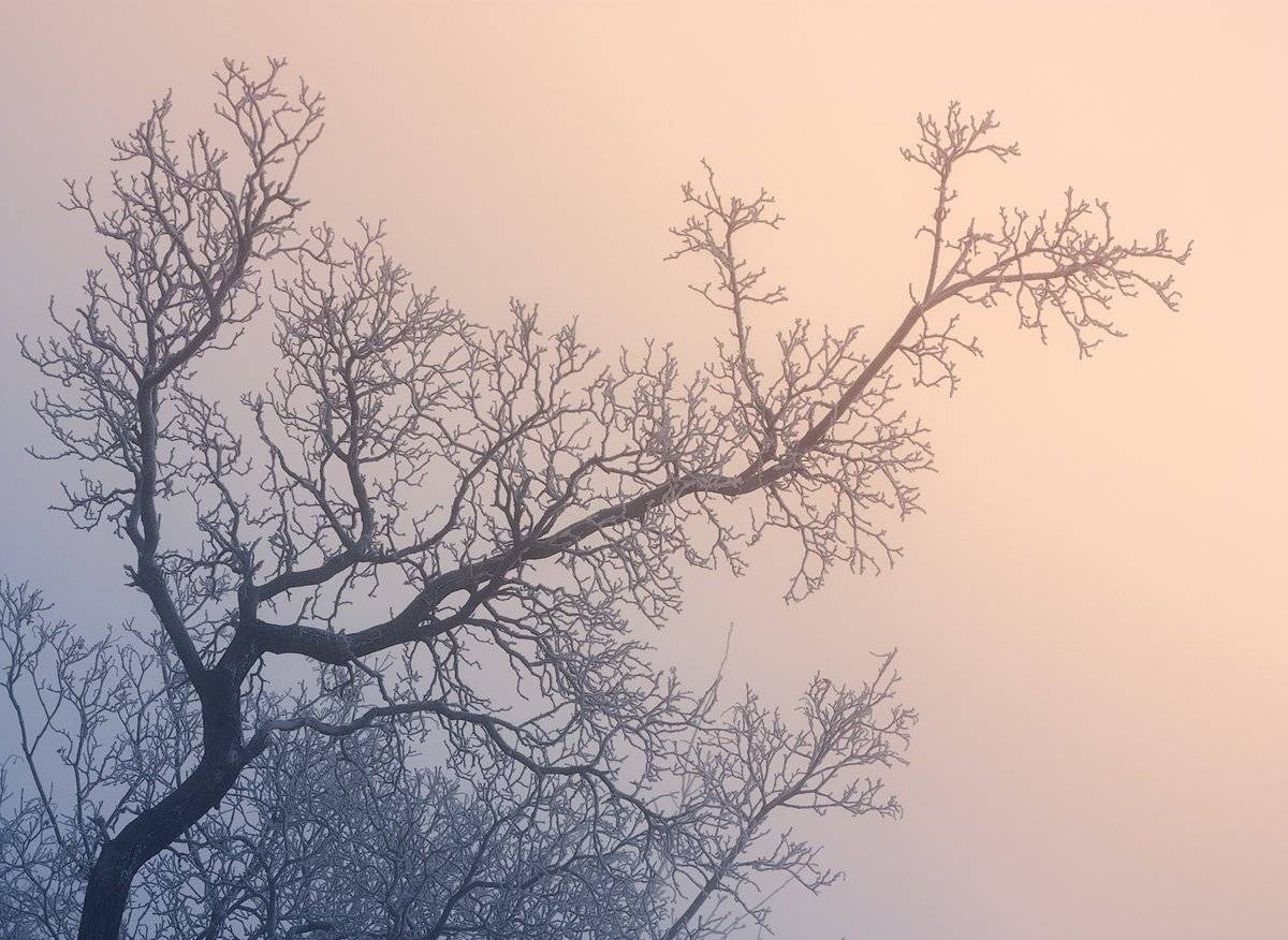 , Дитковский Евгений