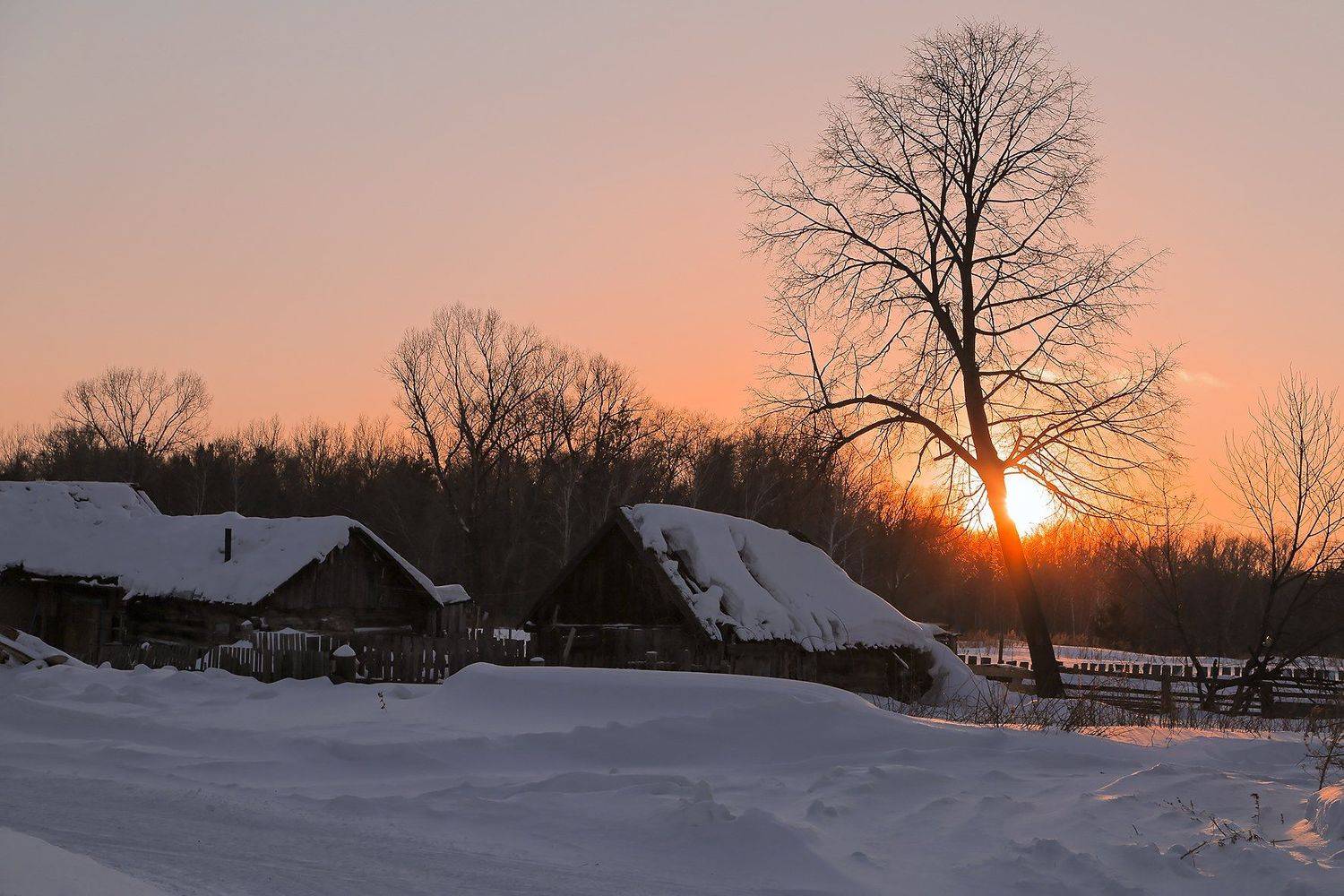 Зима  снег закат, Евгений Зинов