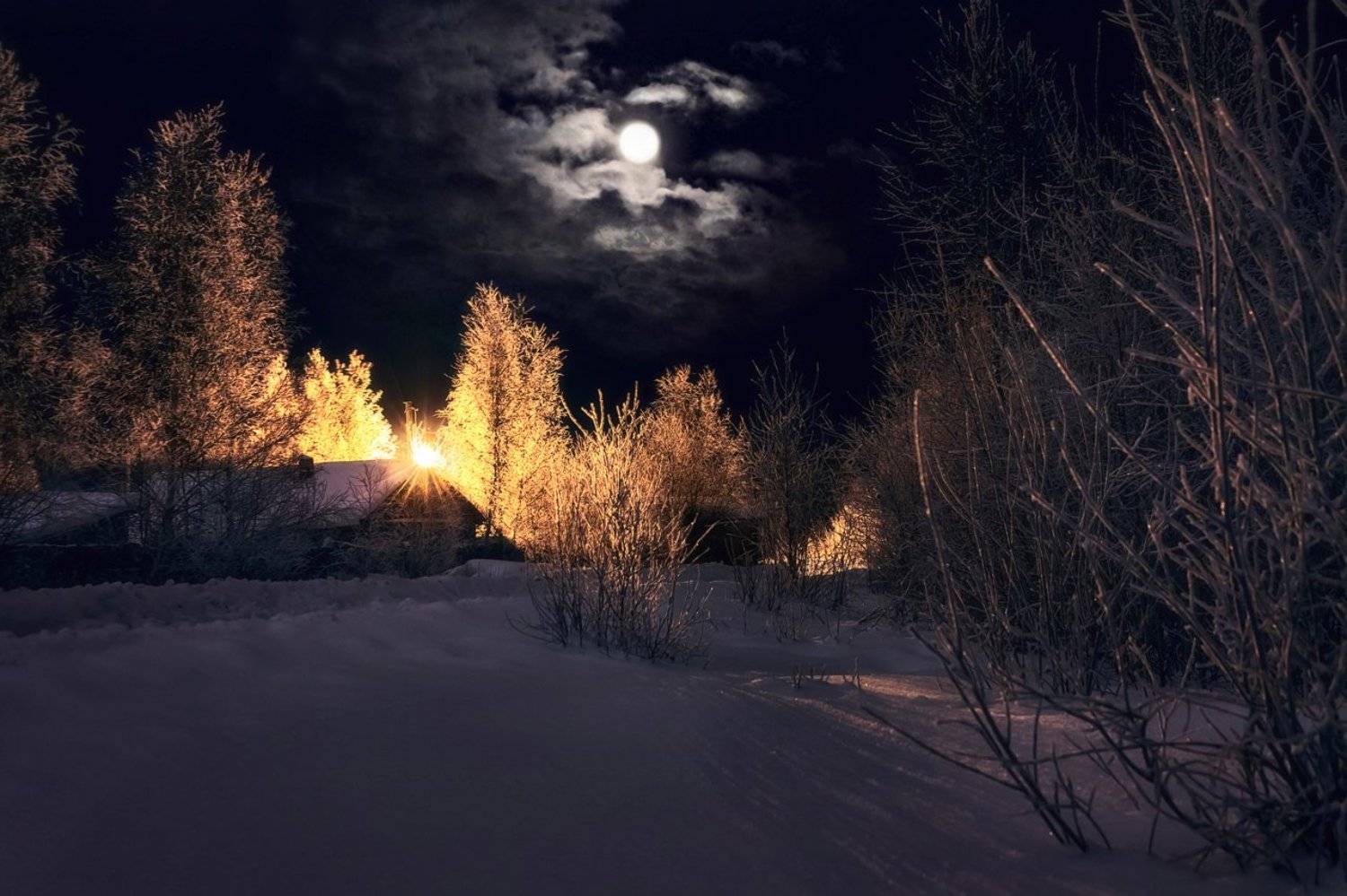 , Алёна Сурнина