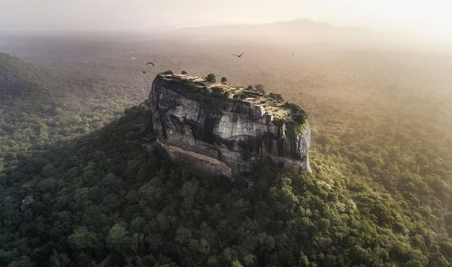 Sigirya rock looks like a submarine in the middle of the forest!