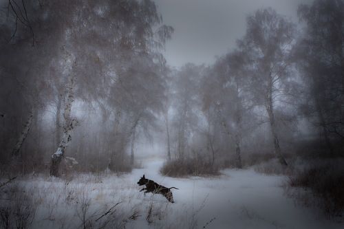 Прыжок