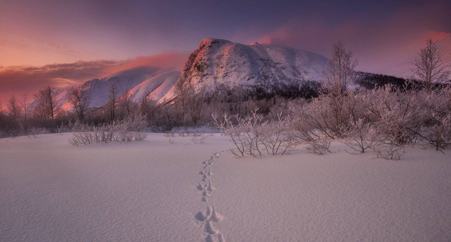 пейзаж,россия,хибины,кольский,север,зима,снег,рассвет,горы, Виталий Истомин