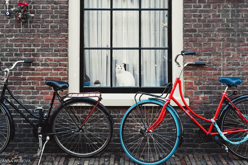 Утрехт фото превью