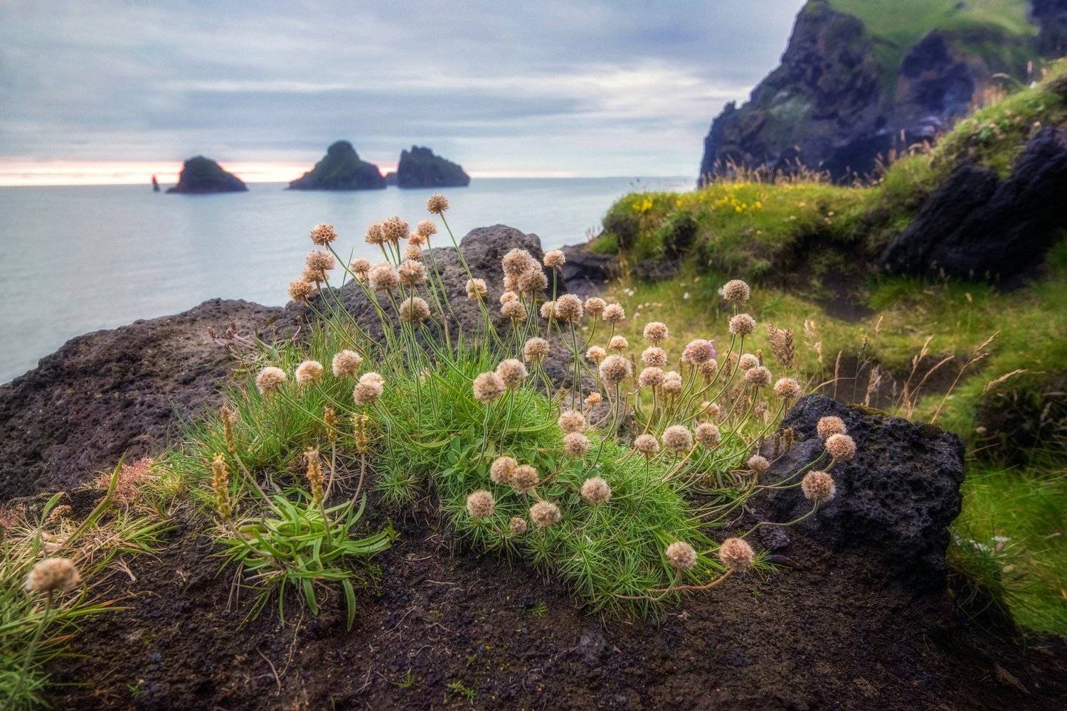 исландия,iceland, Алексей Кретов