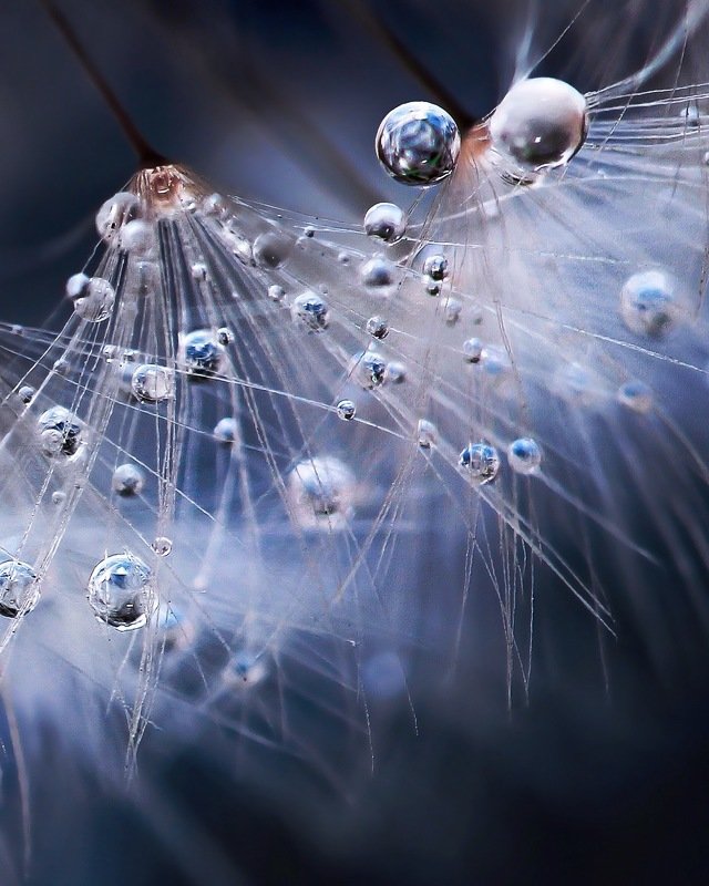 своя вселенная фото превью