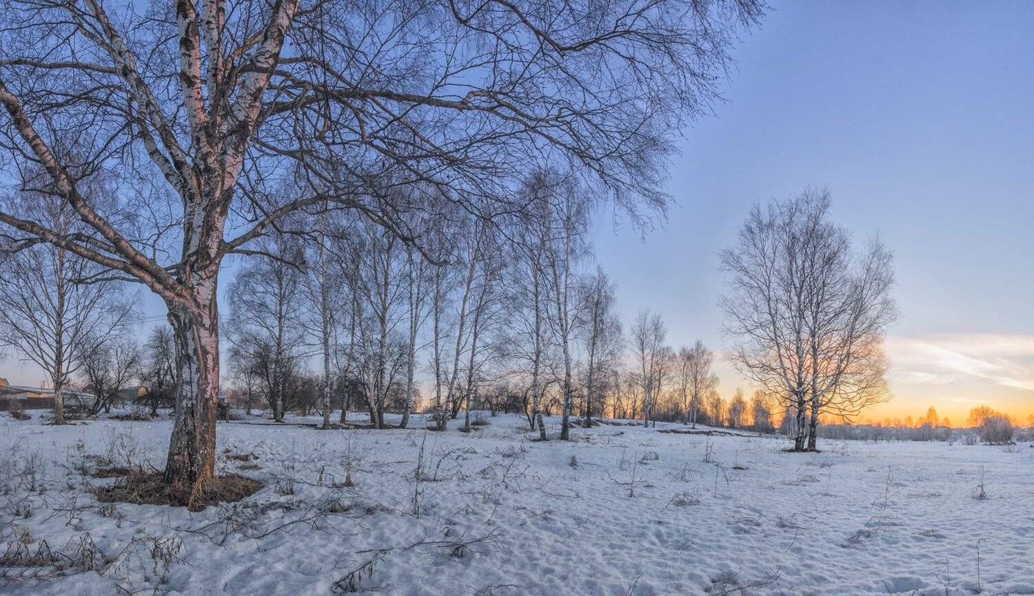 , Николай Андреев