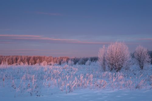 Розовый рассвет
