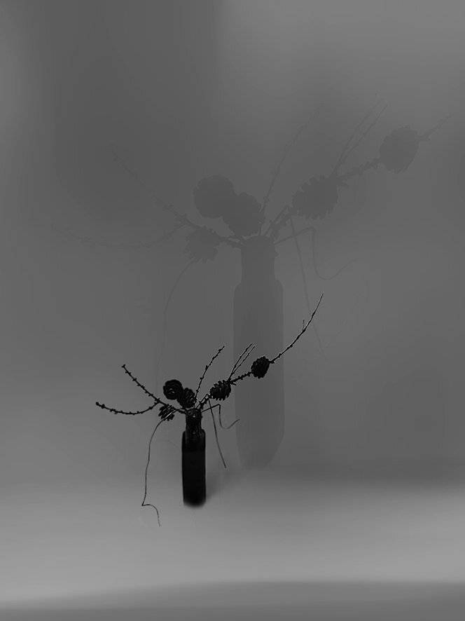 , T. Bondarenko