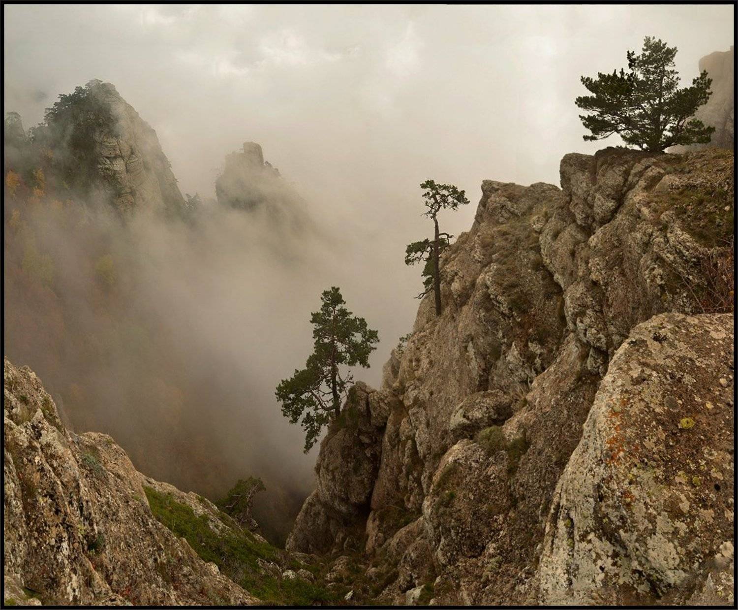 , Владимир Метцгер