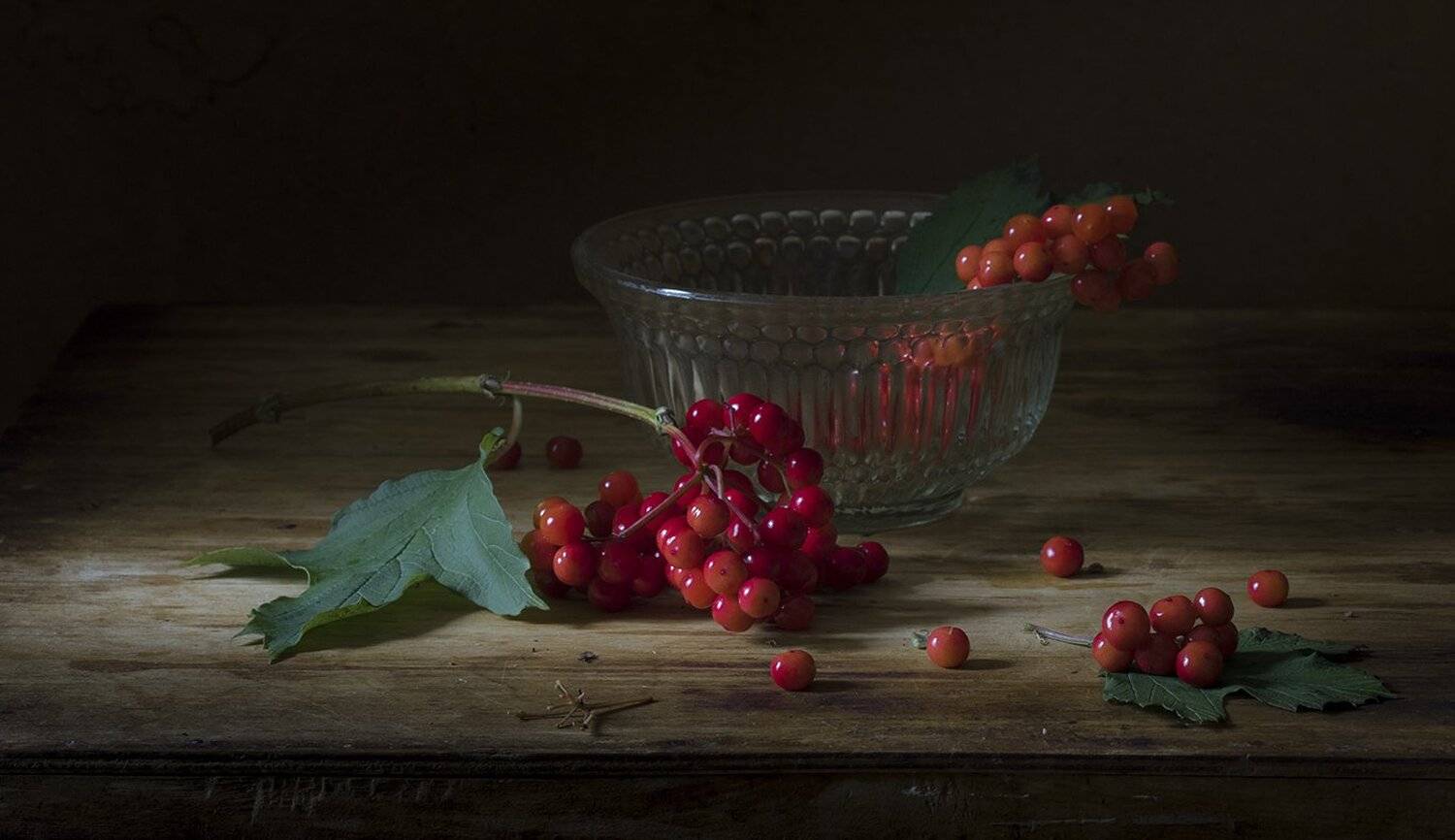натюрморт,калина, Елена Рубинская