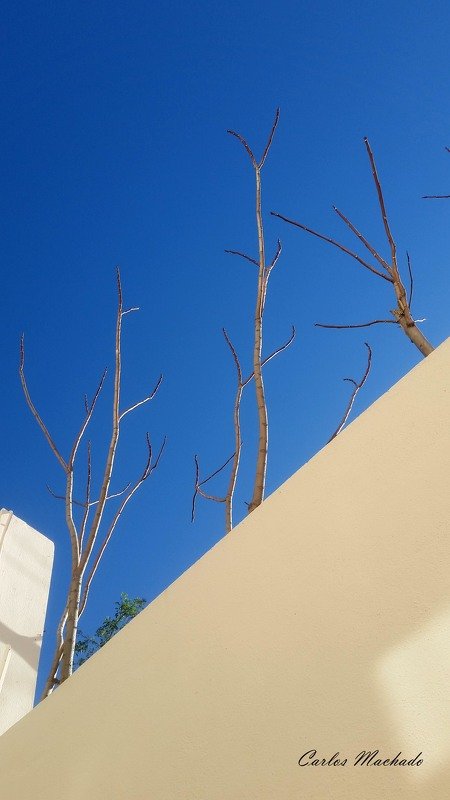 City Branches фото превью