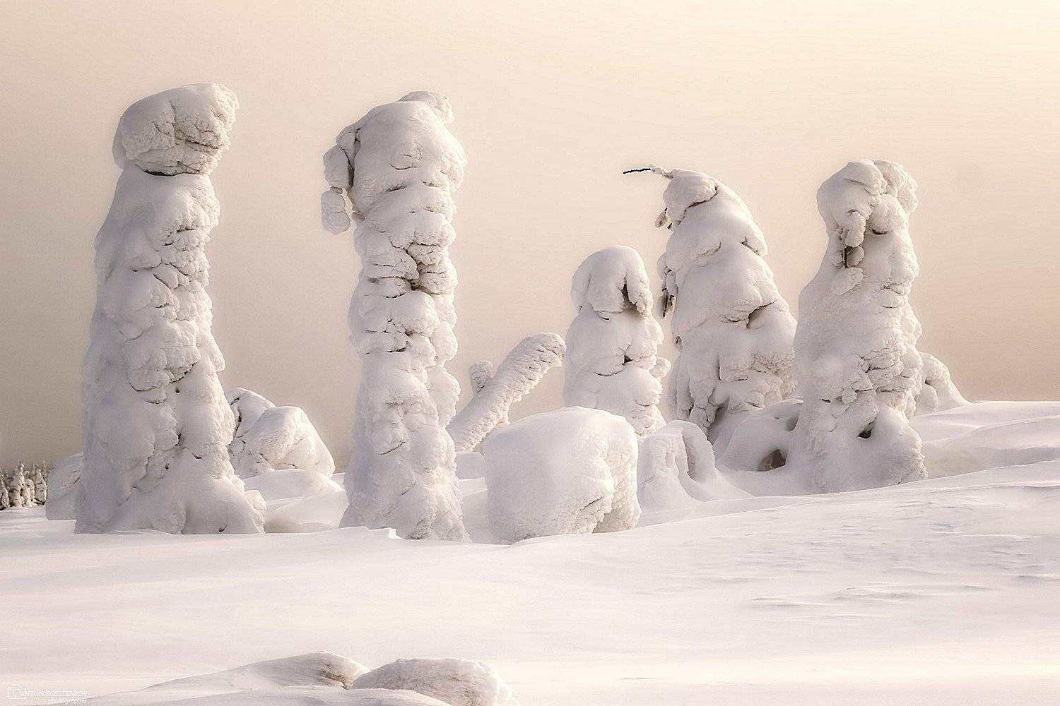 , Антон Кошетаров