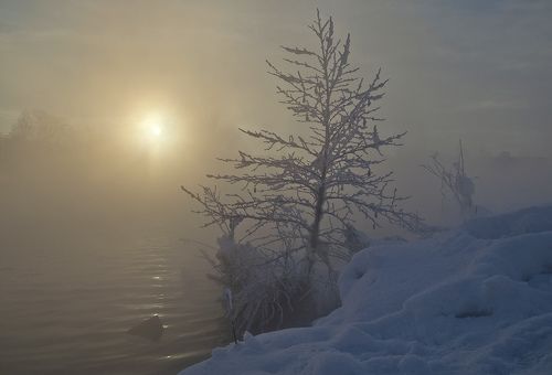 Холодный рассвет