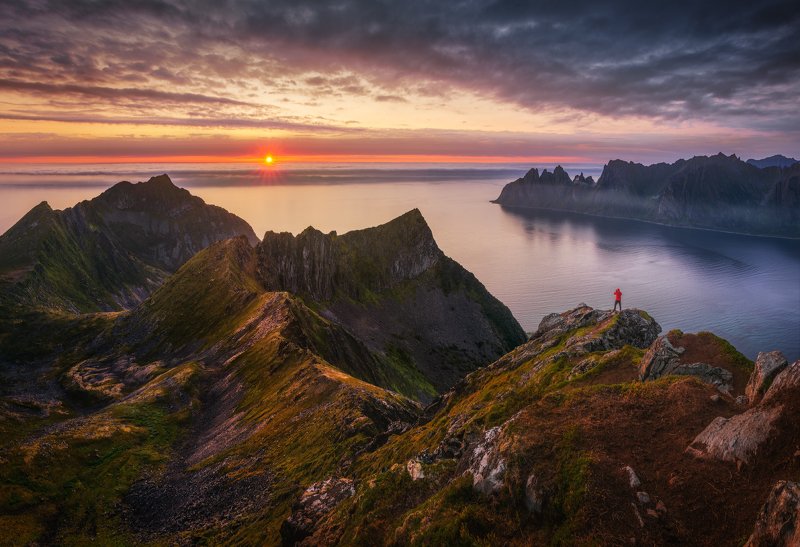 норвегия, сенья, husfjellet Белые ночи в Северной Норвегии фото превью