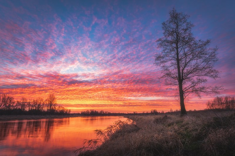 a few minutes before sunrise in central Poland фото превью