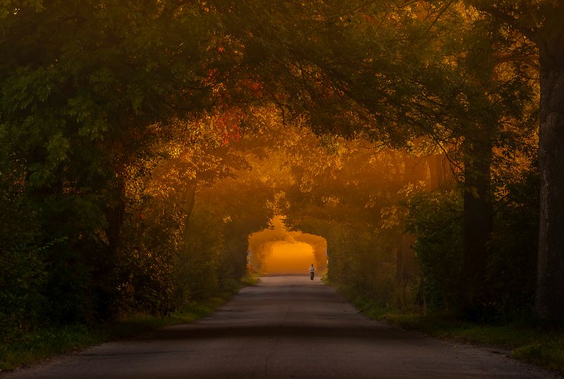 I walk around Warmia фото превью