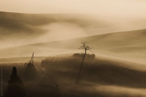 Туманное утро