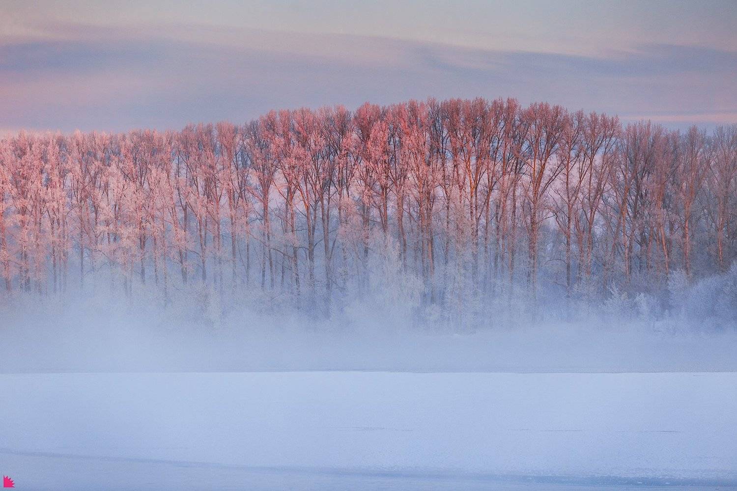 , Осипов Ёжъ Александр