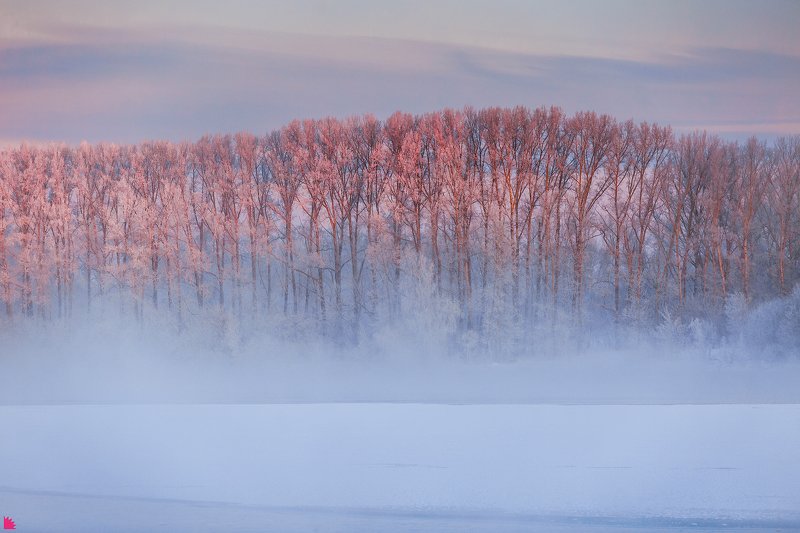 Утро фото превью