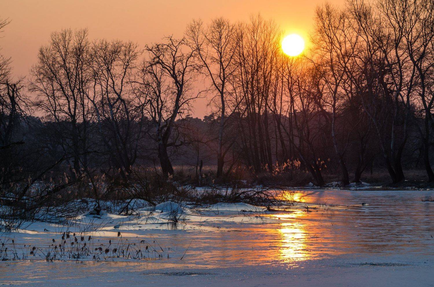 , Maciej Werbliński