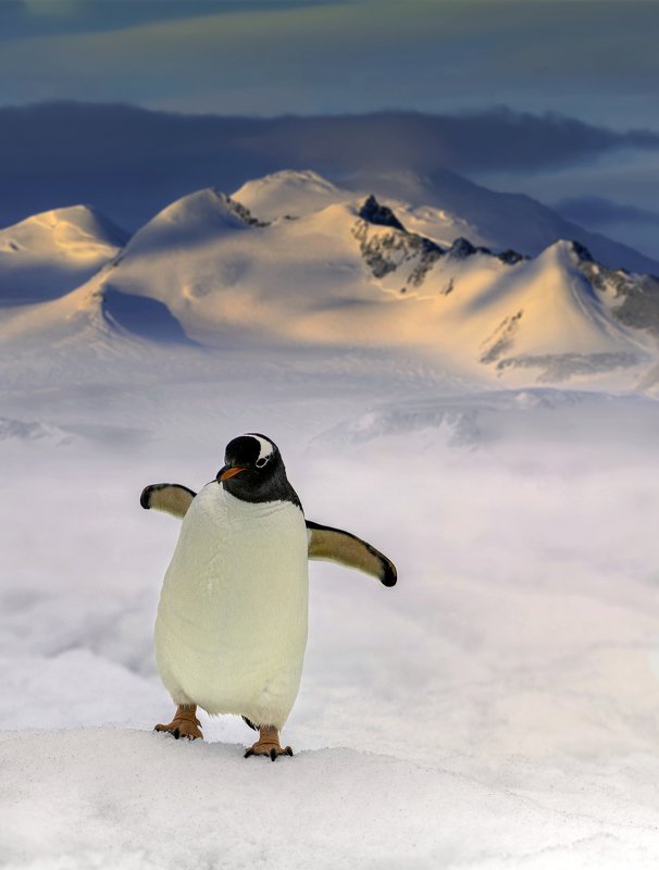 Hug from the end of the world.. фото превью