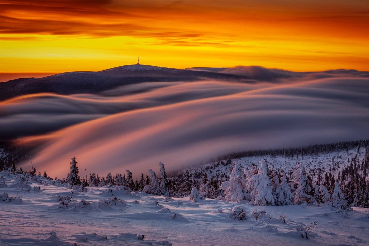 , Pawel Uchorczak