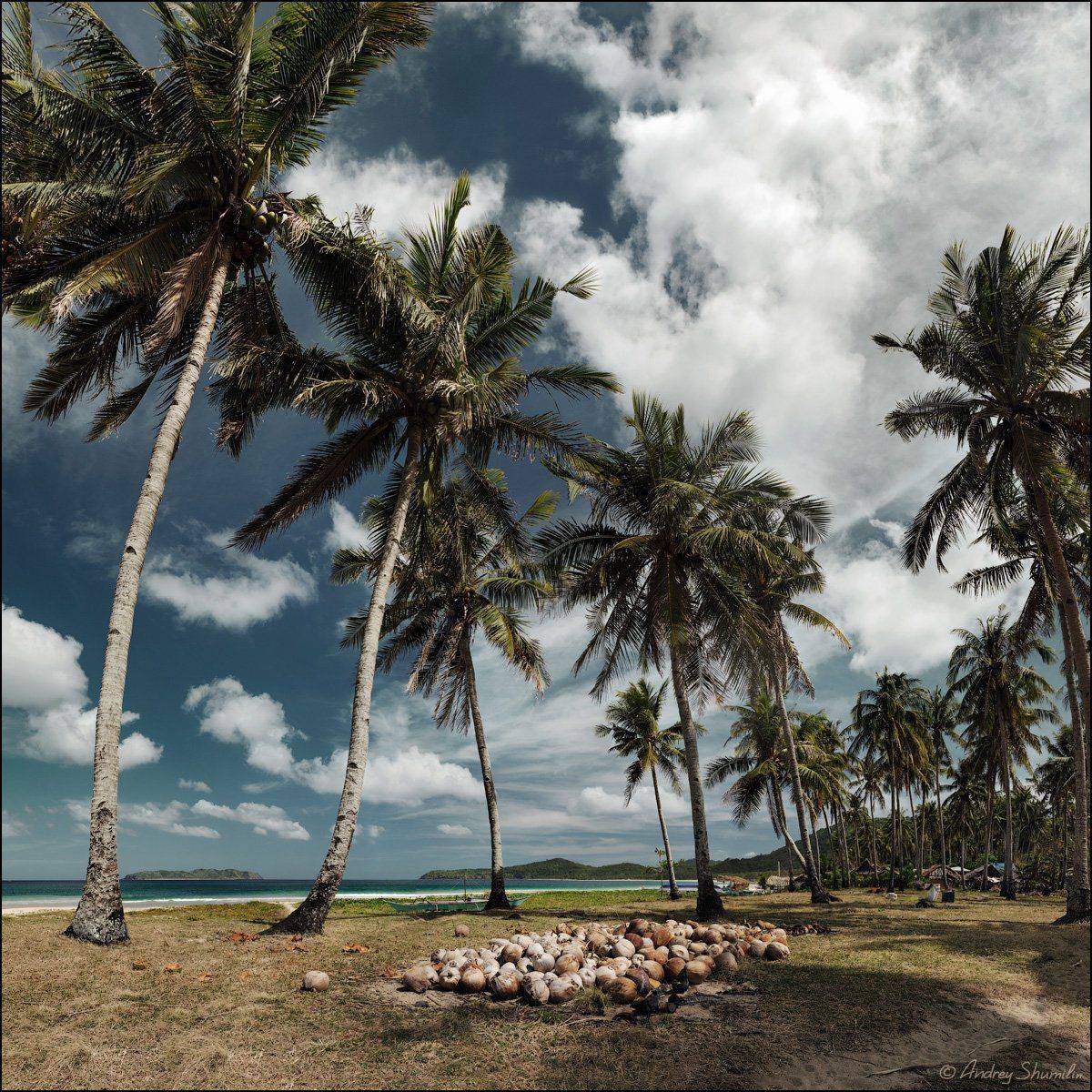 , Андрей Шумилин