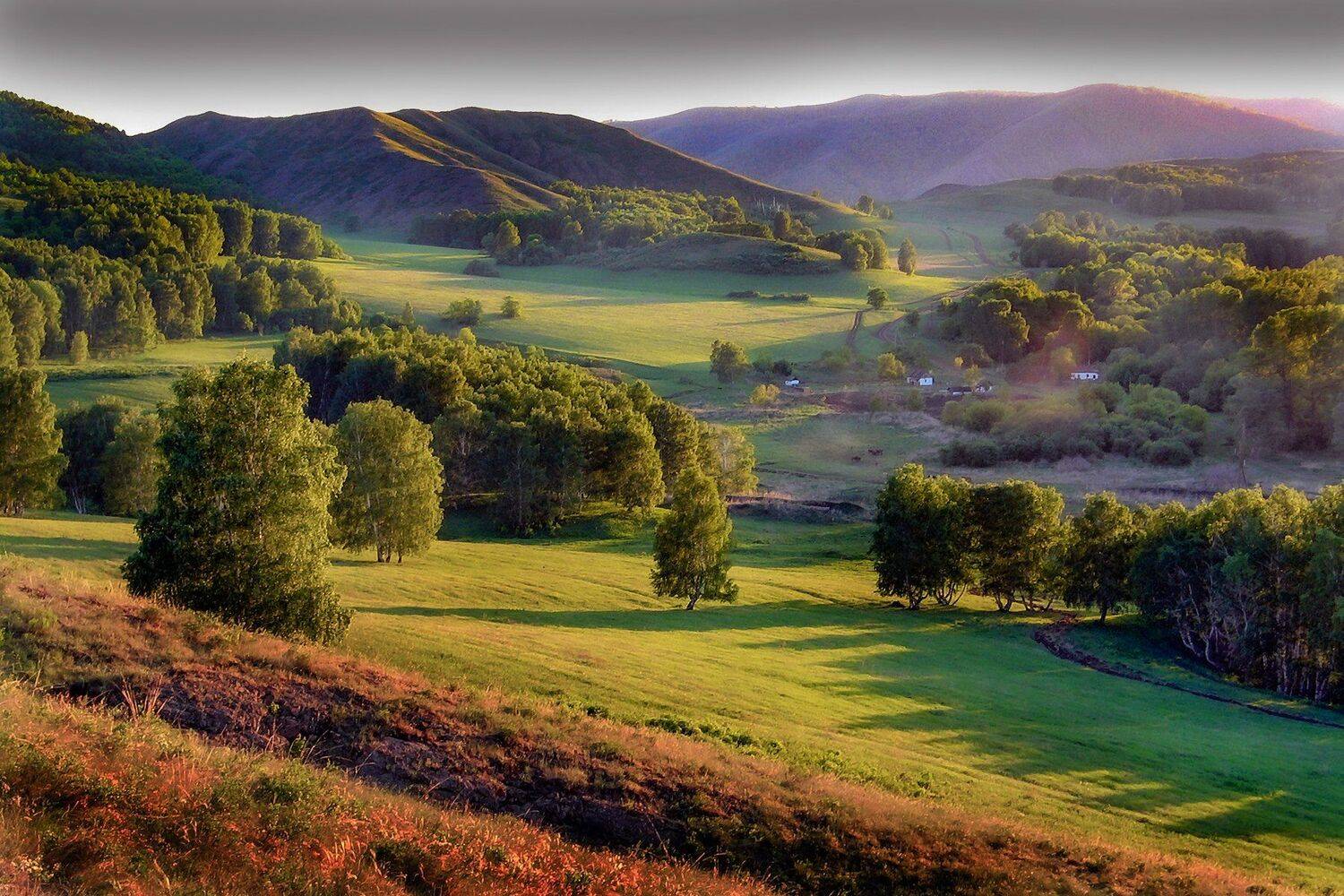 Акчура, петр чиков