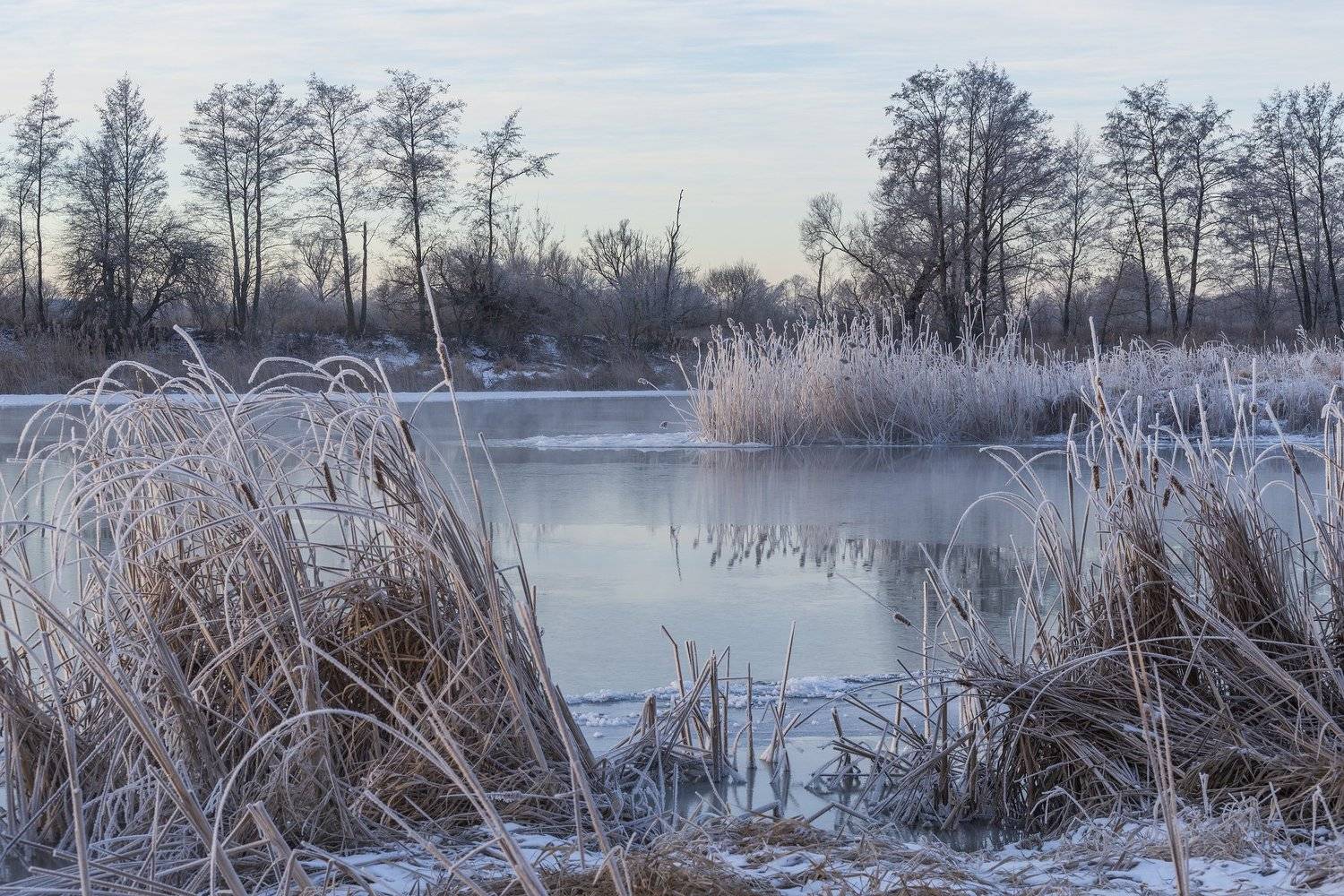 , Дмитрий Новоселов