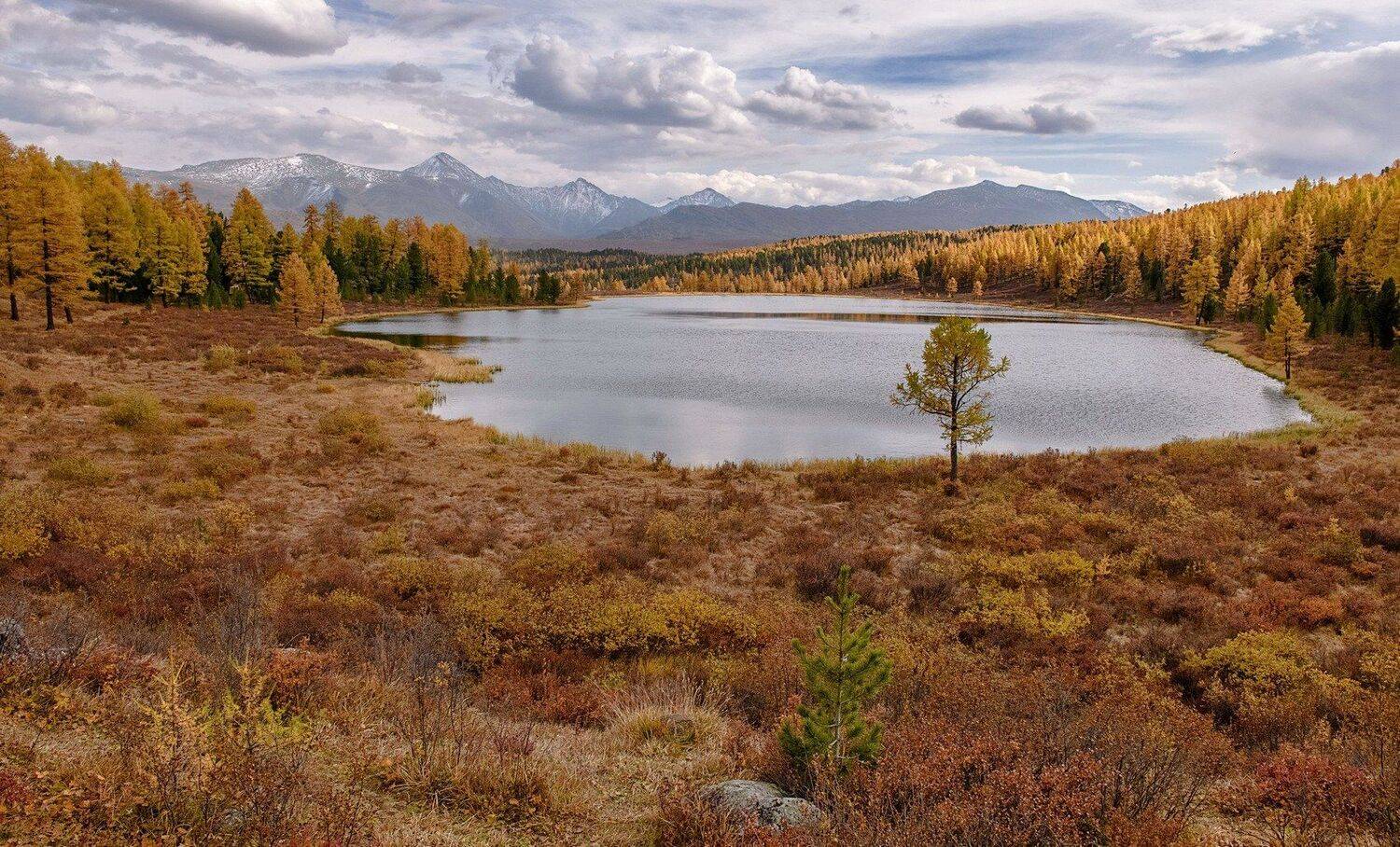 алтай, оз. киделю. осень, Марина Фомина