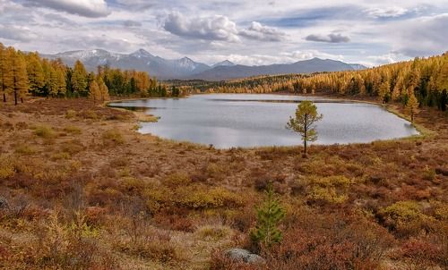Осеннее Киделю.