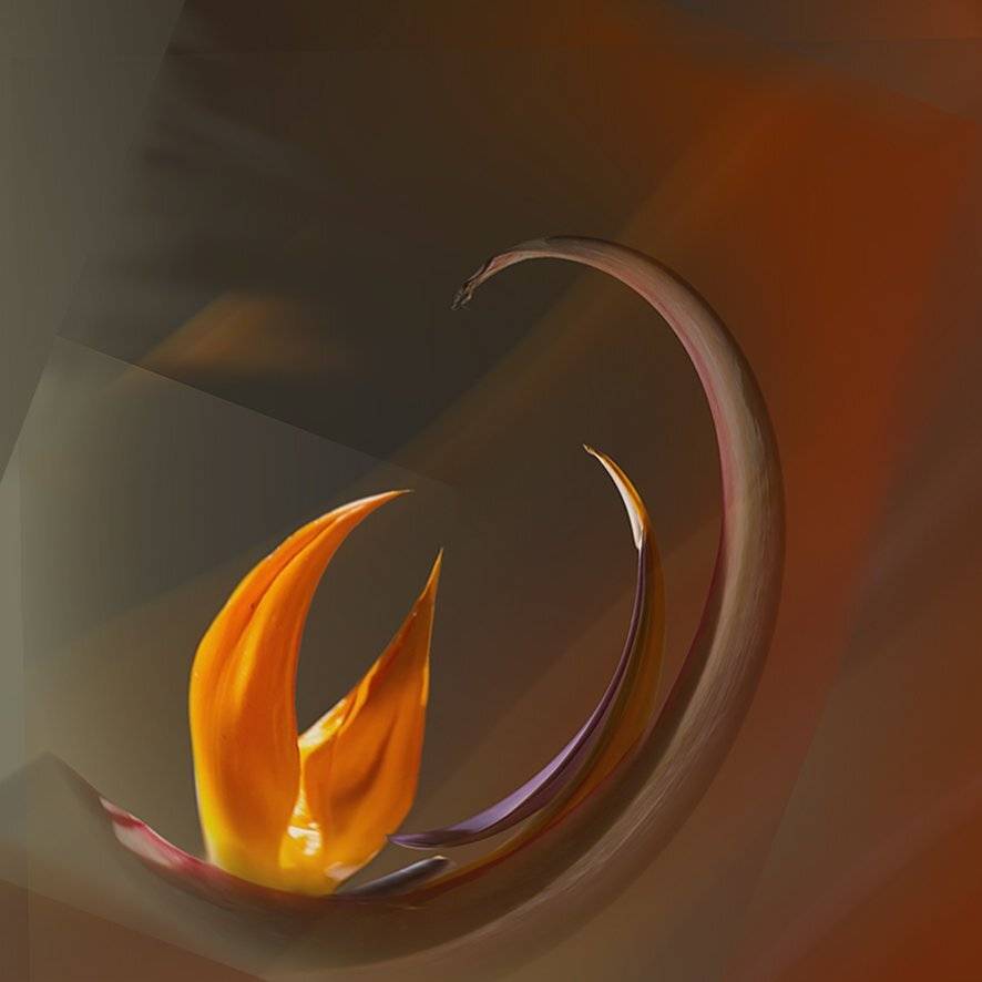 , T. Bondarenko