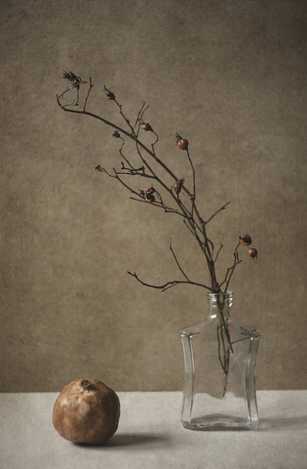 натюрморт, минимализм, Ольга Алексейчик