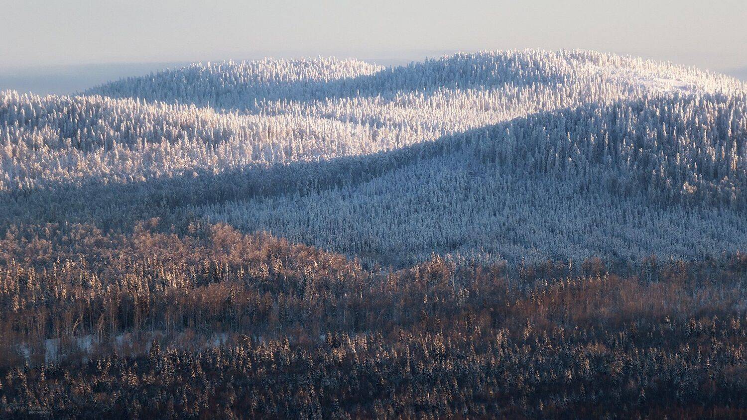 , Антон Кошетаров