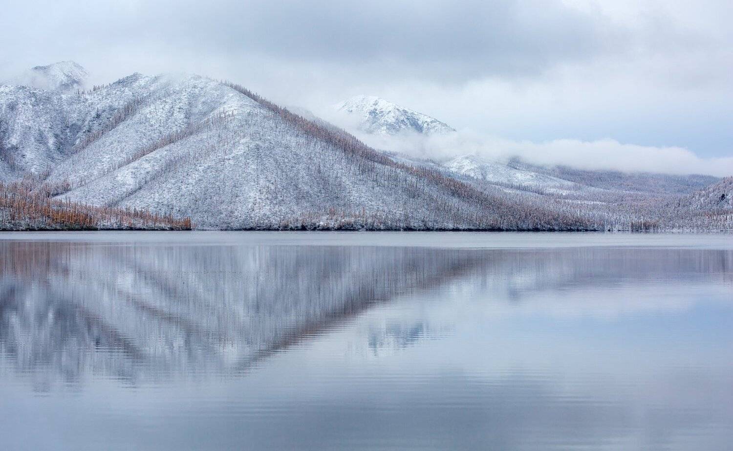, Павел Глушков