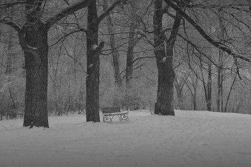 в зимнем саду