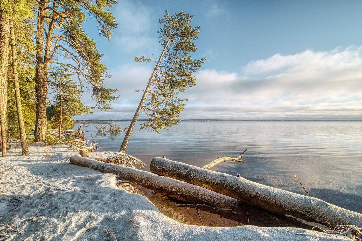 , Федотов Антон