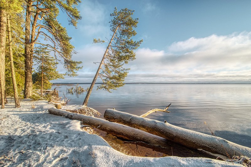 Солнечный день фото превью