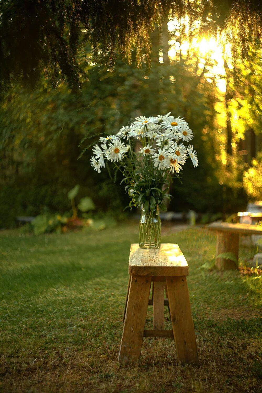 , Рут Андрей