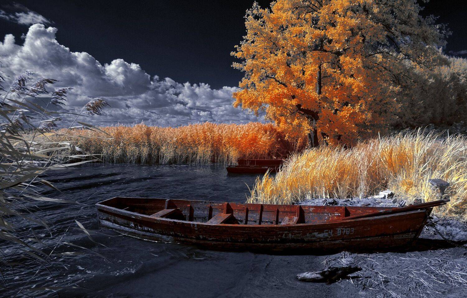 infrared,ик-фото,инфракрасное фото, инфракрасная фотография, пейзаж, лето, Sixten ( Сергей )