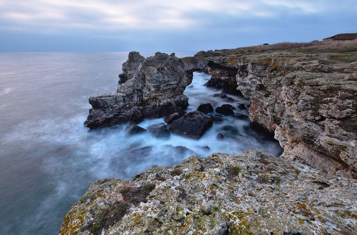 , Мартин Костадинов